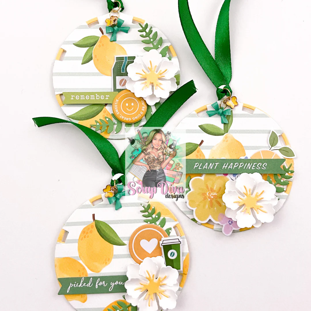 Sun Shaker Tag - Image 20