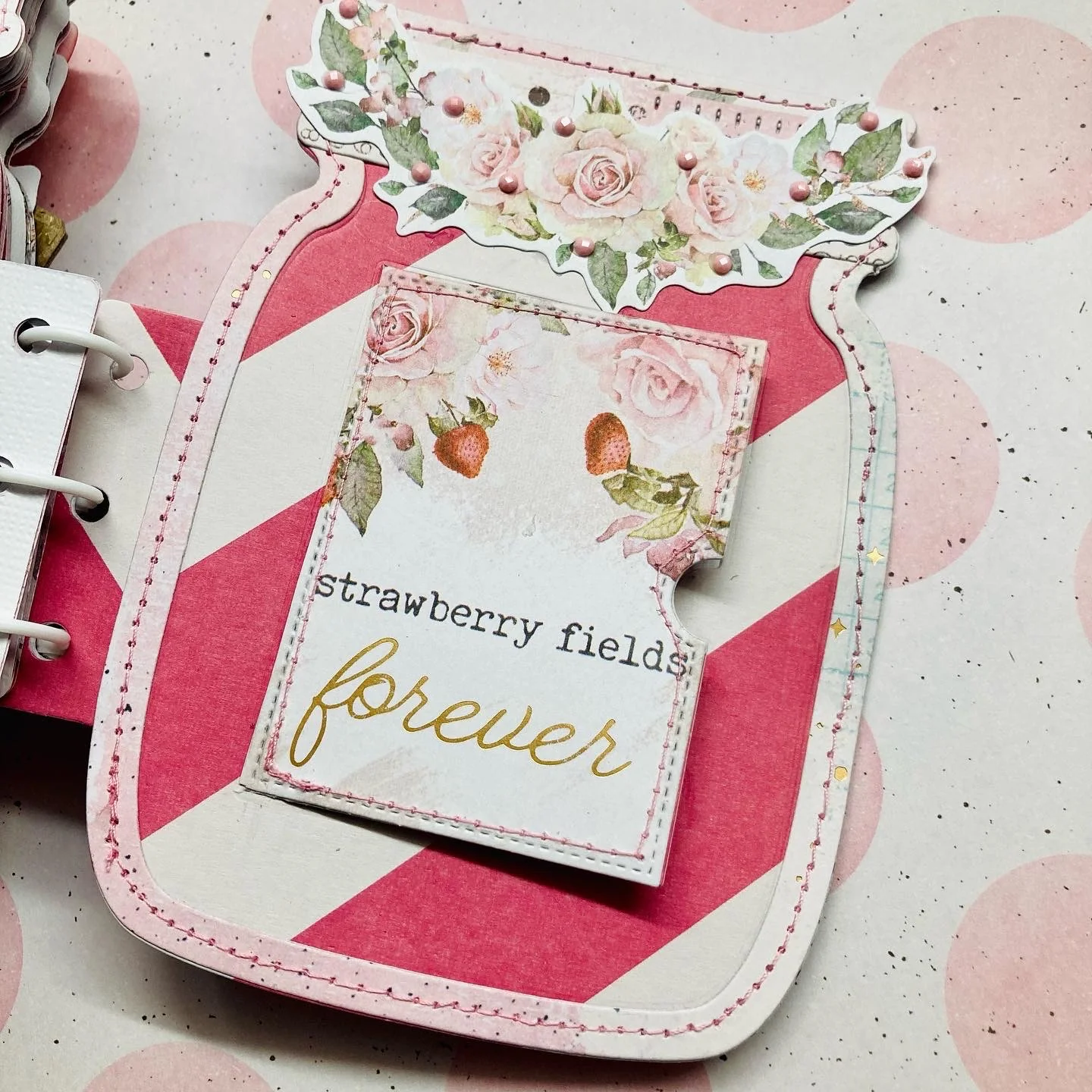 Mason Jar Mini Album - Image 23