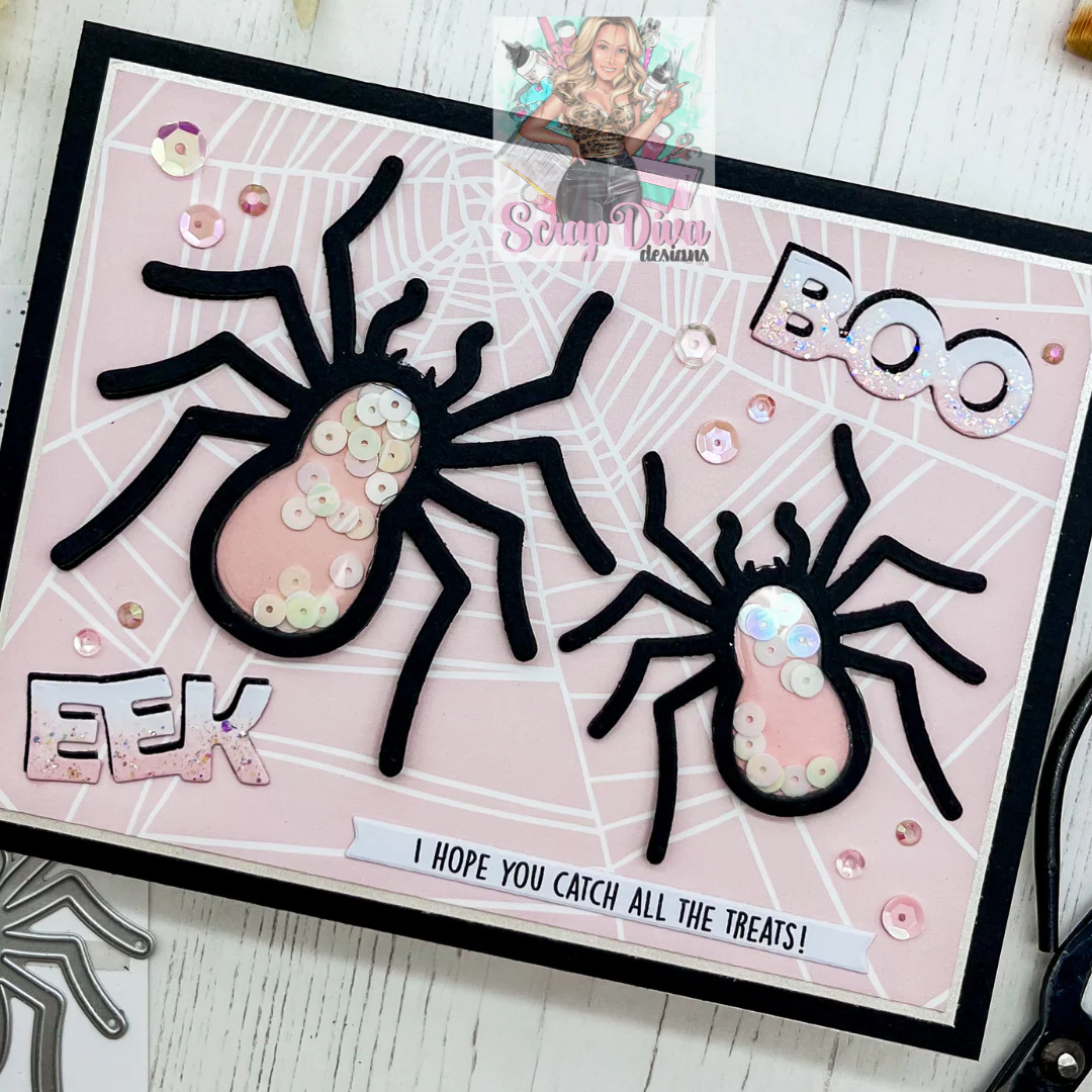 Spider Web Mini Album - Image 16